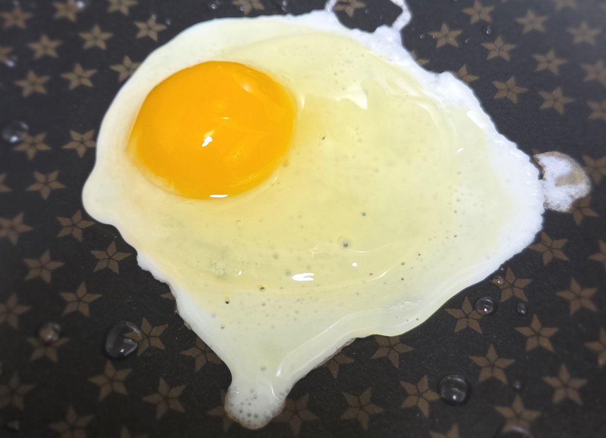 김 츄🎀🐈‍⬛ tweet media