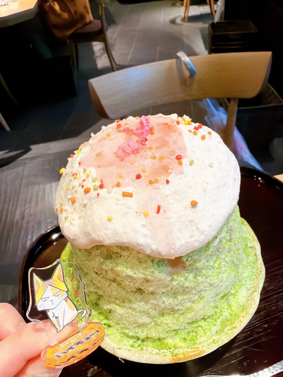 りんこさんとかき氷🍧🌸
ぬい忘れたってしょもしょもしてたらけんまちネコのアクスタくださって元気になる現金なオタクでした🐈💓