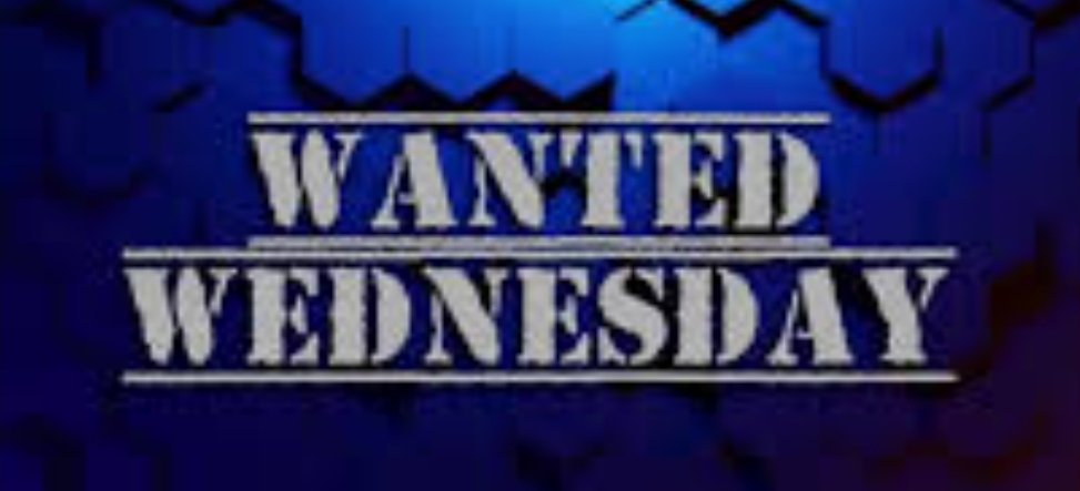 Christopher Knoll tweet media