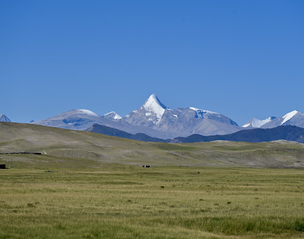 KSK@neuropsychiatry tweet media