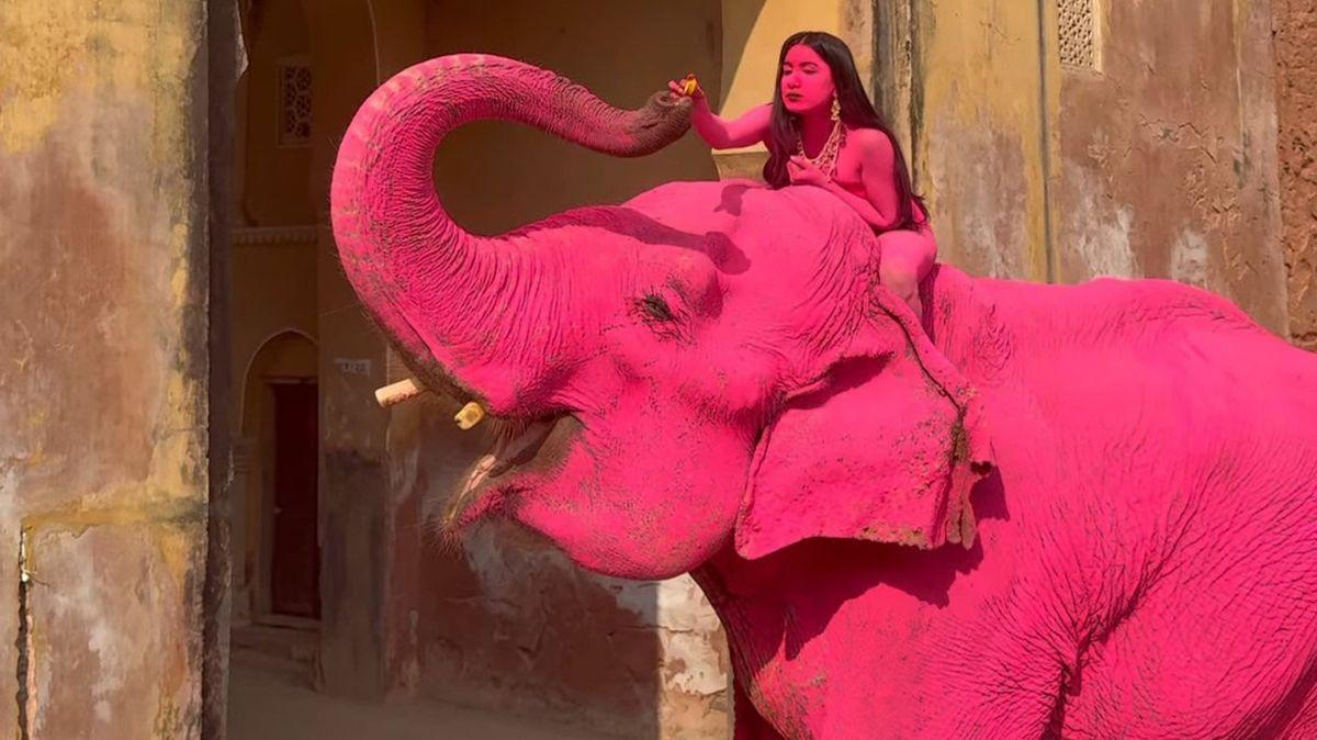 LADbible tweet media