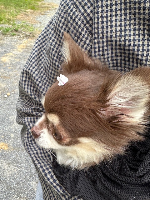 フェイス777遠賀 tweet media