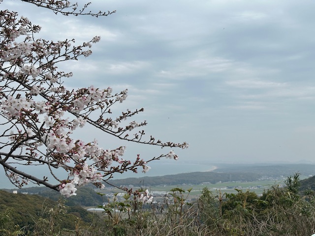 フェイス777遠賀 tweet media