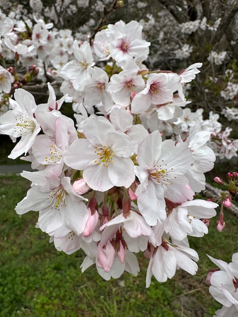 フェイス777遠賀 tweet media