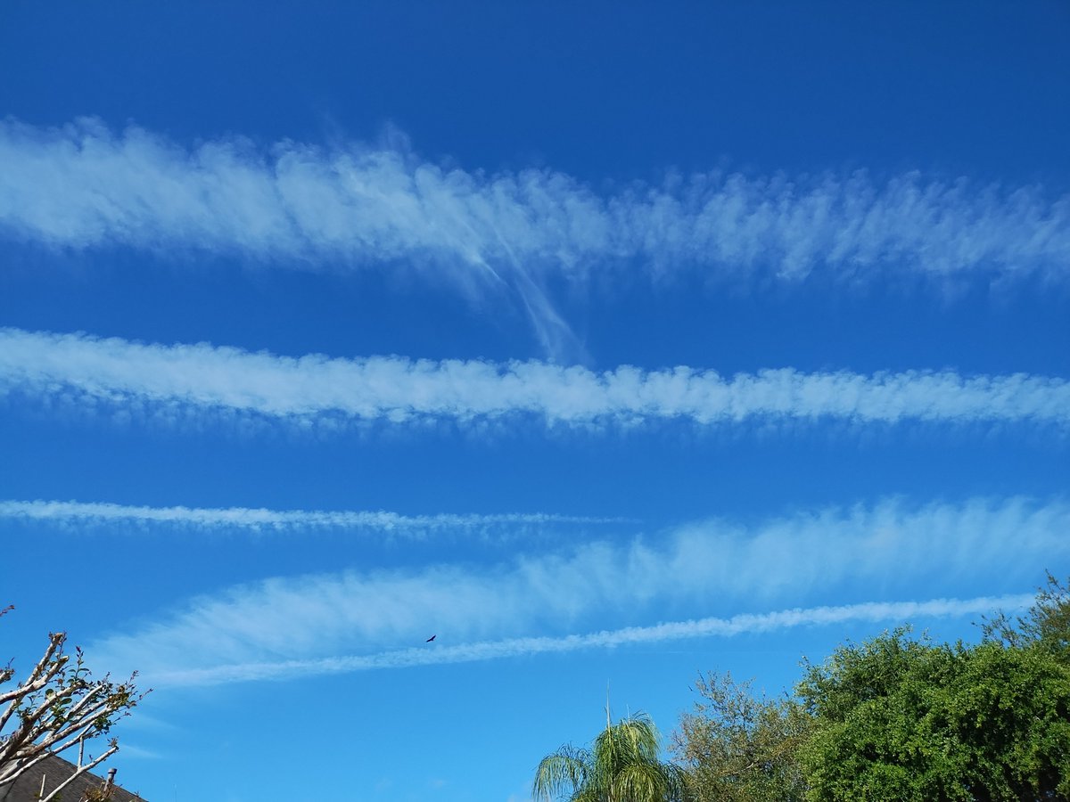 The 1940s Experience🇺🇸 tweet media