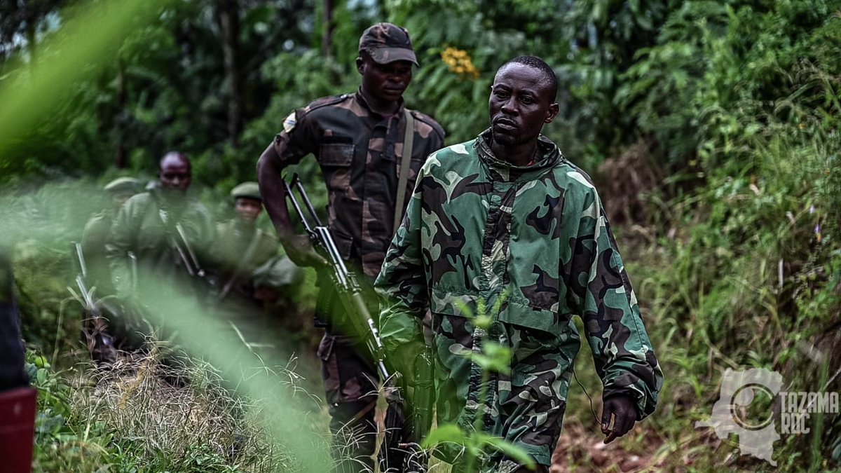 TAZAMA RDC Infos tweet media