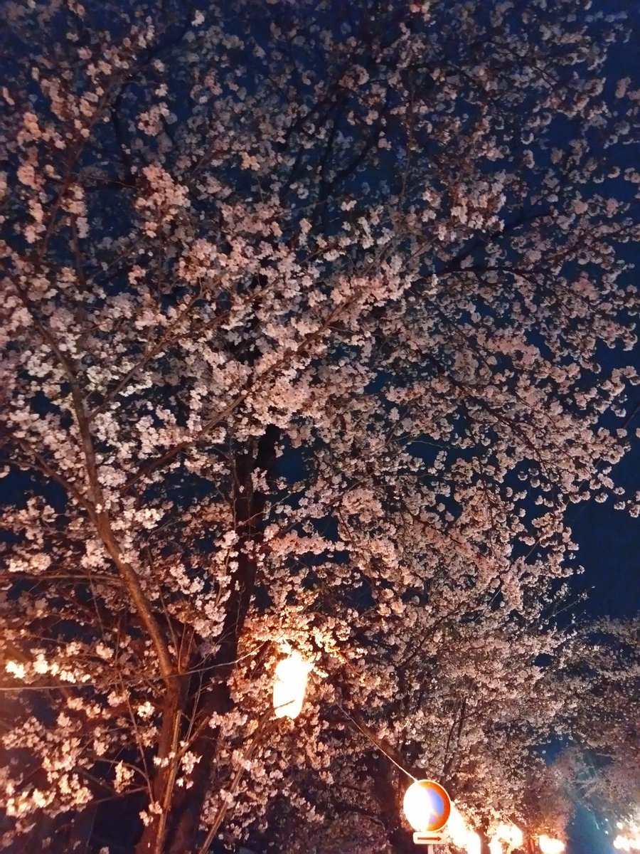 samayasu tweet media