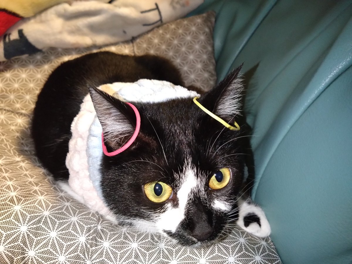 samayasu tweet media