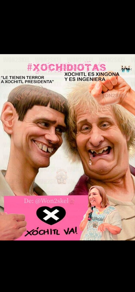 Gustavo R tweet media