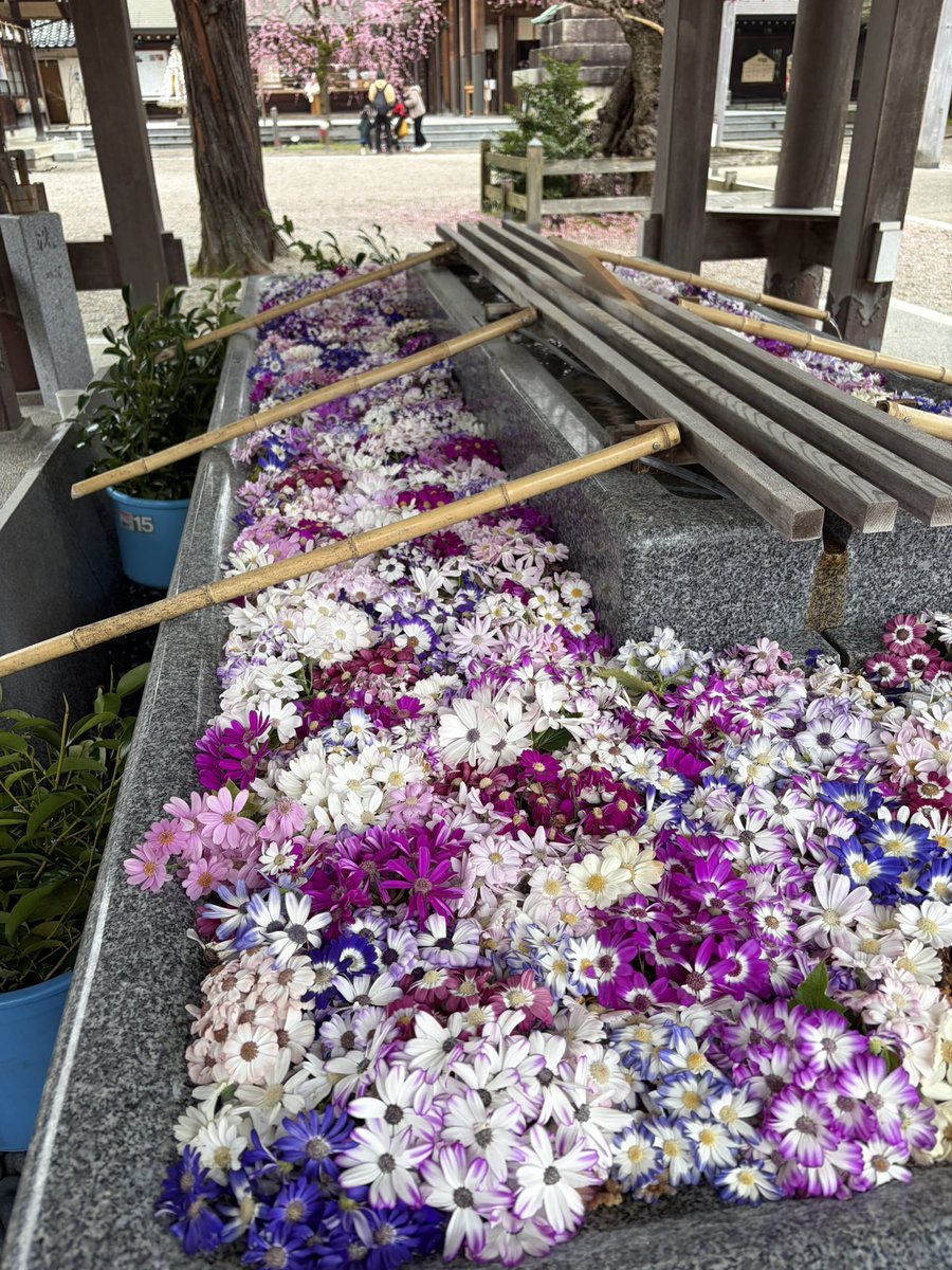 なぎは@なんでも垢 tweet media