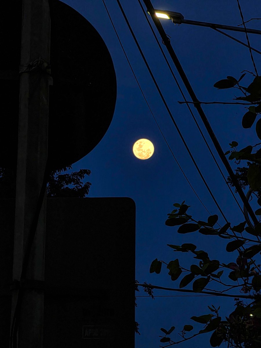 dans 🔰 tweet media