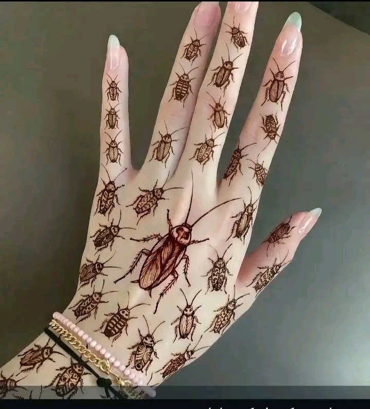 Nida Fatima tweet media