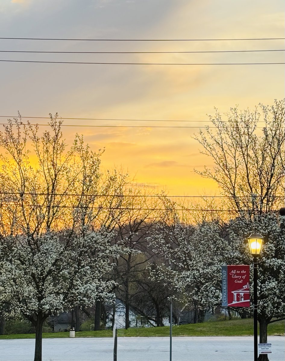 ConcordiaPrep's tweet image. What a beautiful spring morning on campus! 🌼🌅

Blessings to our #ConcordiaPrepSaints community on this first day of April and as we prepare for #Passover this #HolyWeek2026 ✝️ ❤️🩶⚜️
