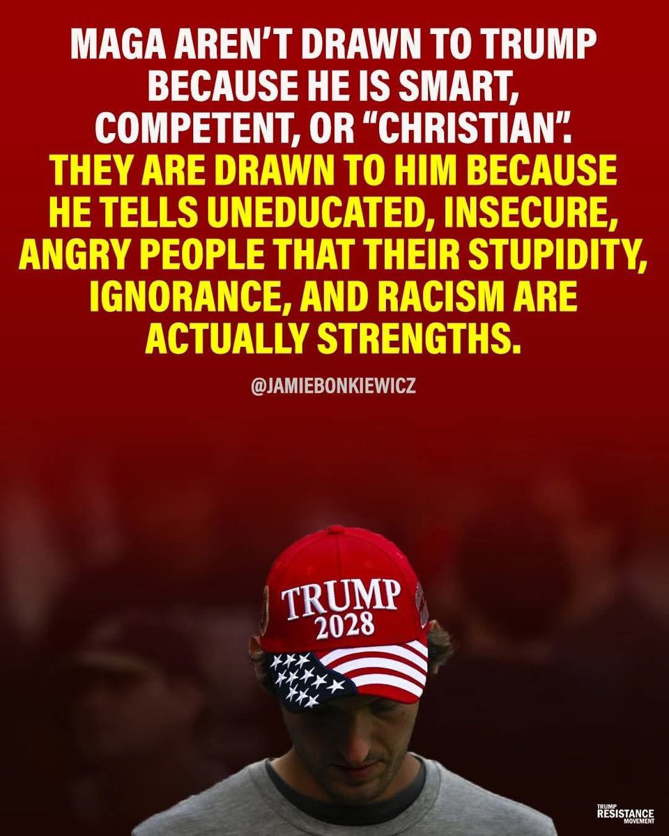 notstupidenoughtobeMAGA🐛 tweet media