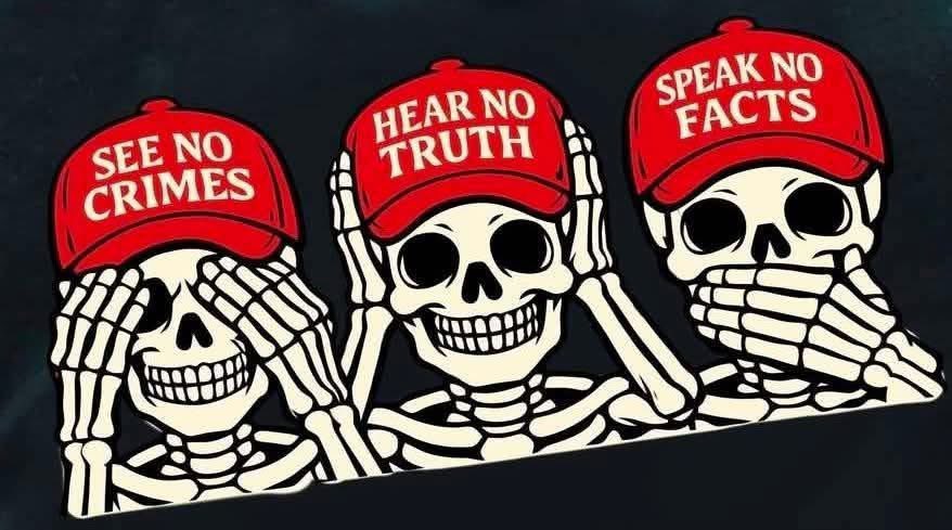 notstupidenoughtobeMAGA🐛 tweet media