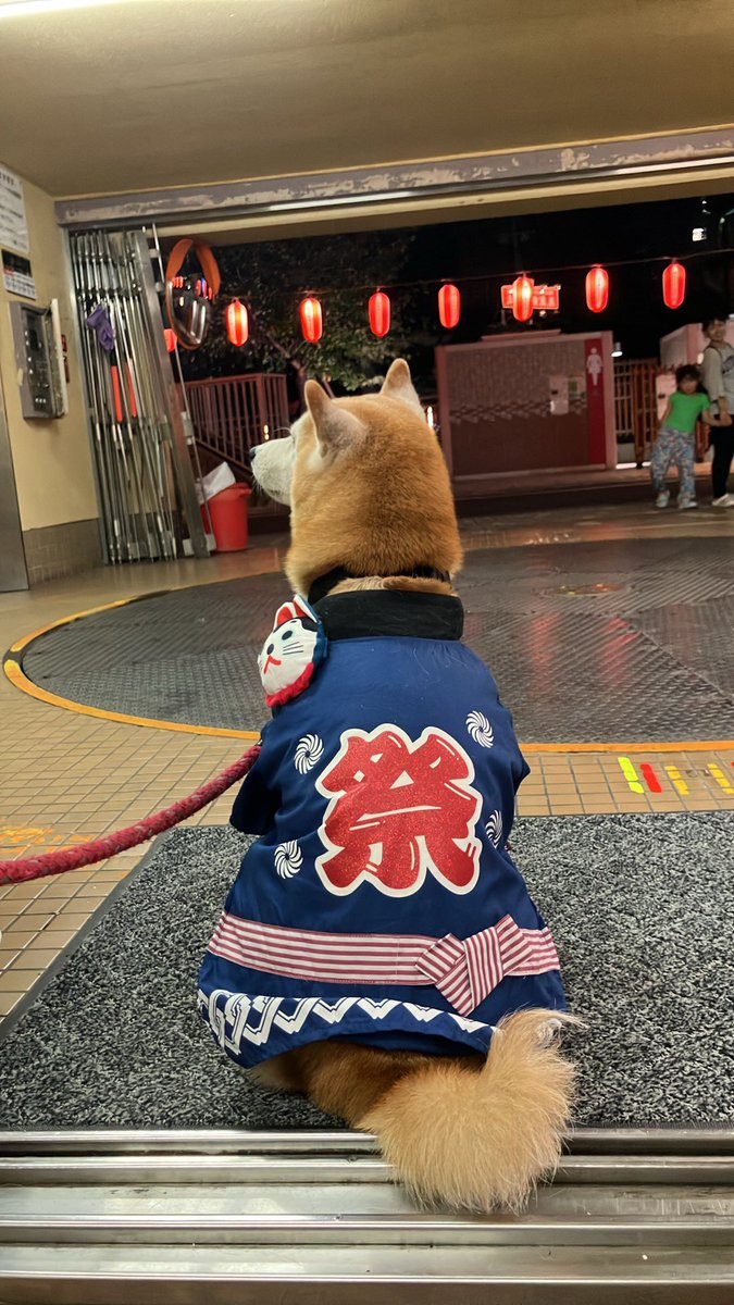 kakinohana＠個人開発 × AI tweet media