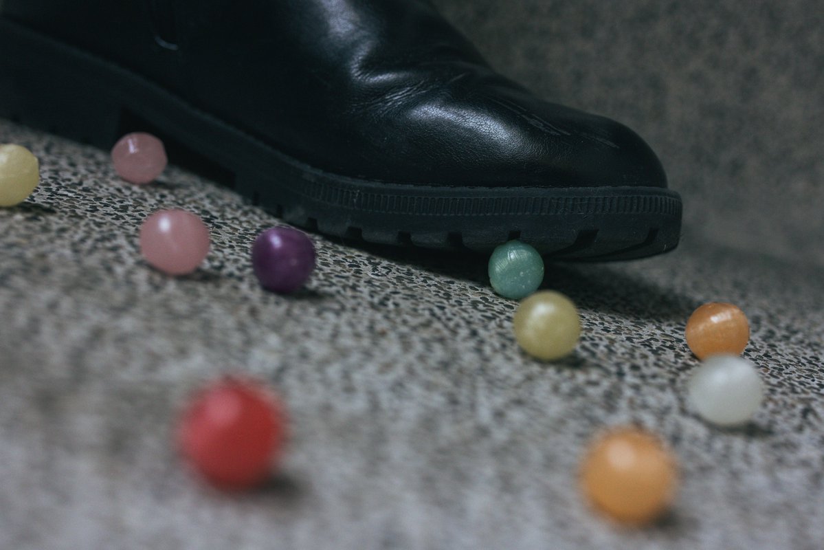 すたく🐾 tweet media