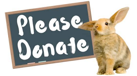 LosinghopeinCanada tweet media