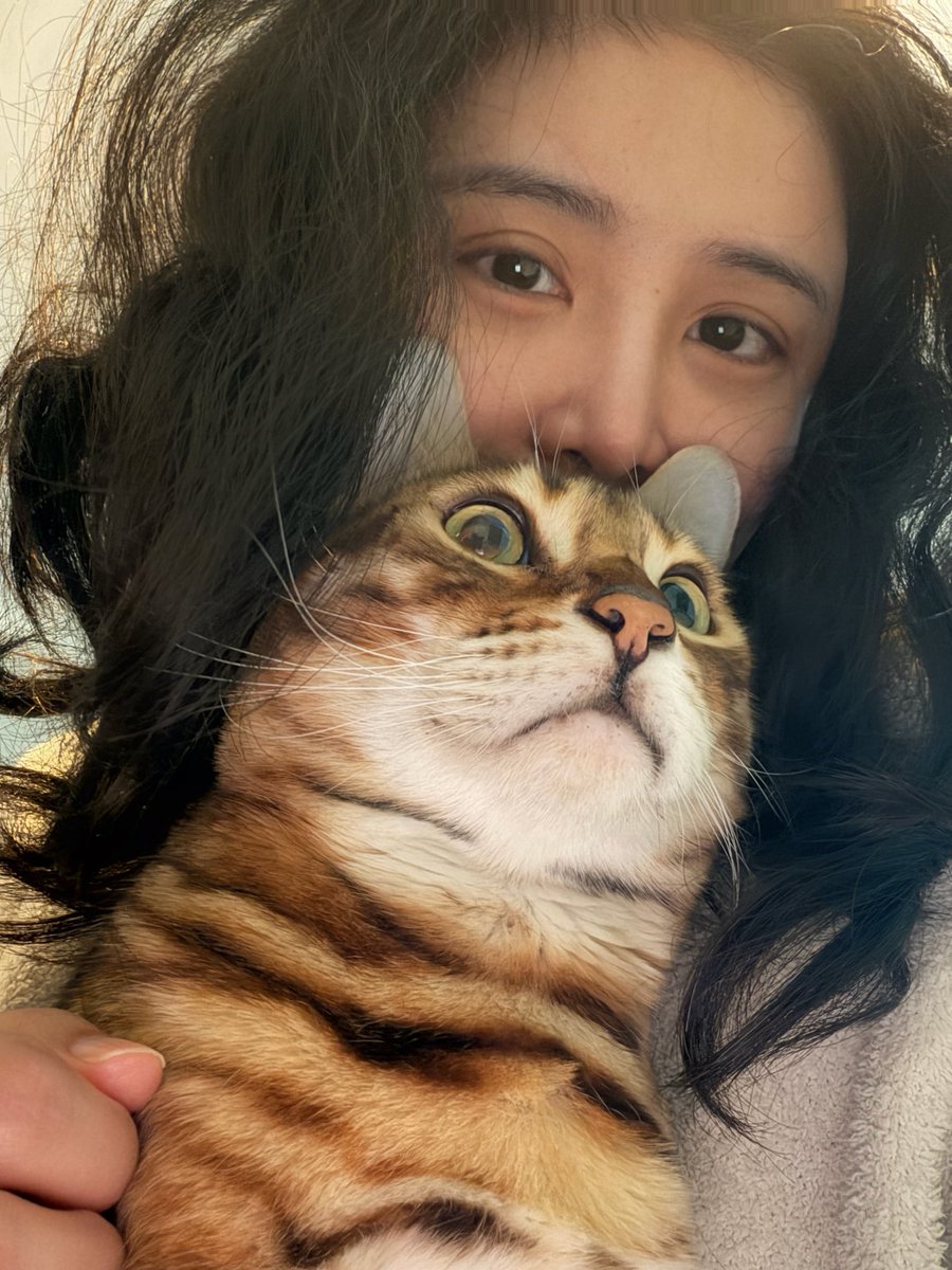 陈一发儿 tweet media