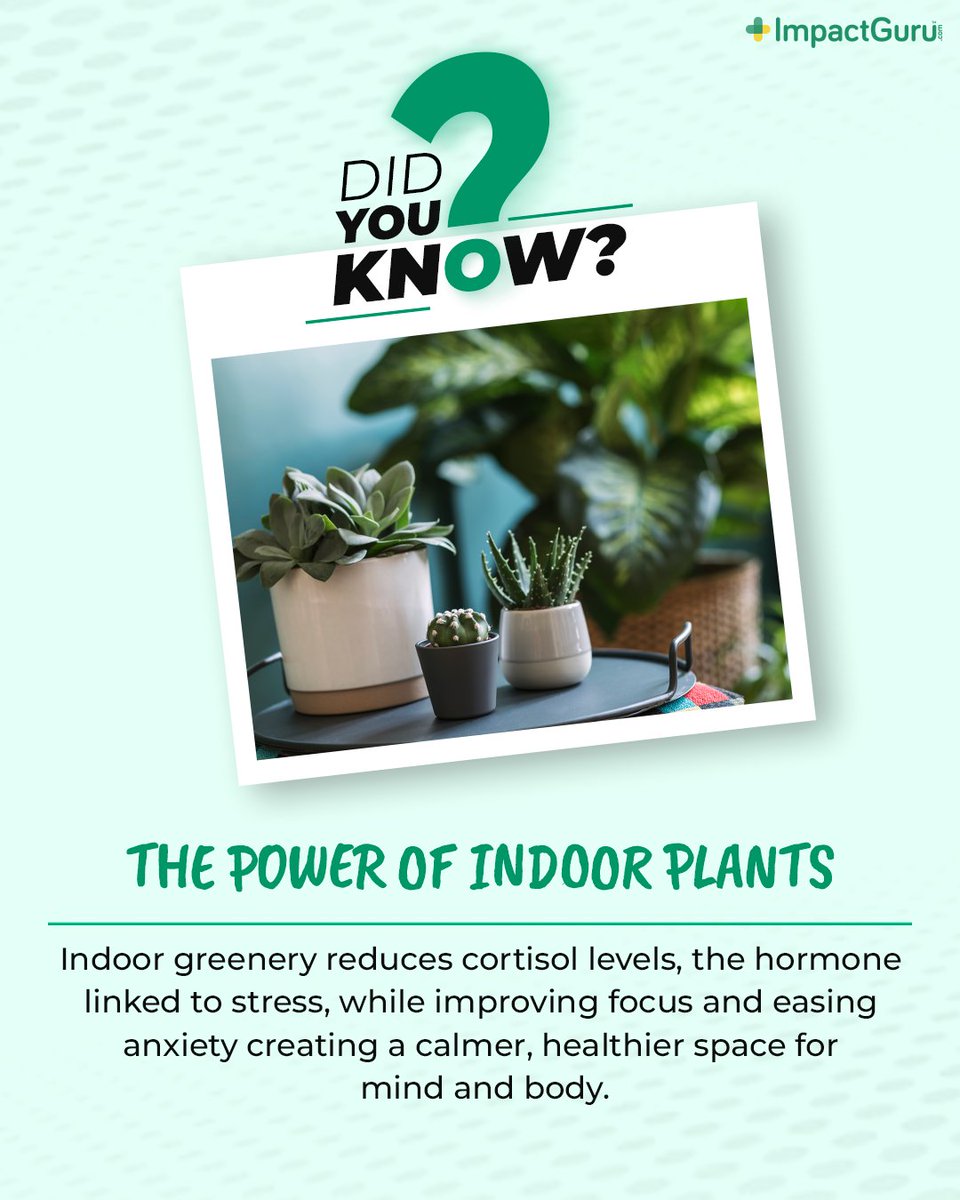 Impact Guru tweet media