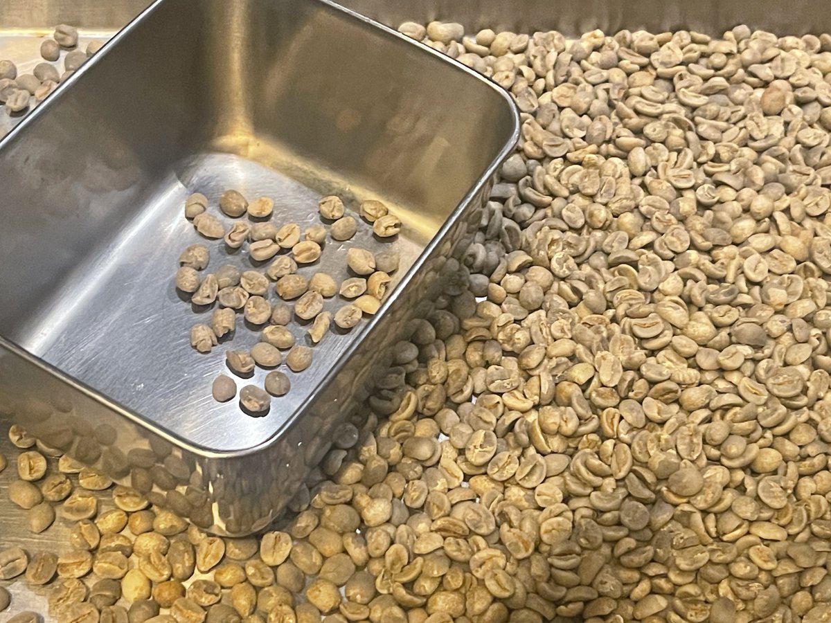 Ullr=Cat@エオラジ＠ユグドラ tweet media