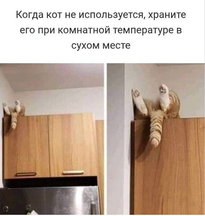 Господин Воронова Крыла tweet media