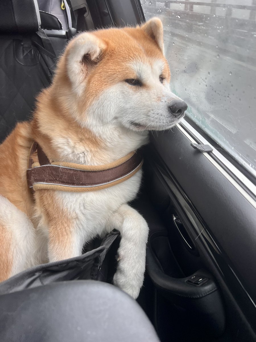 Bart Nijman tweet media