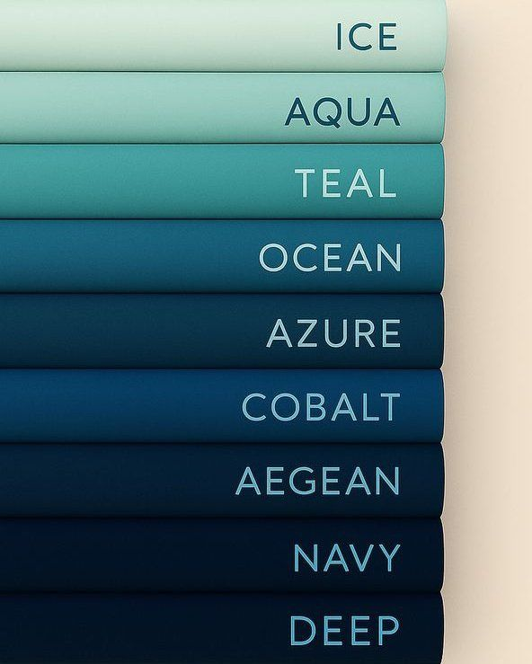 SUNFLOWER 🌻 tweet media