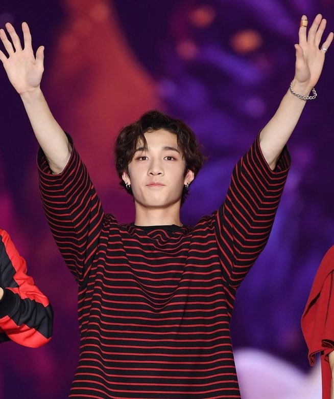 bangchan as puppies tweet media