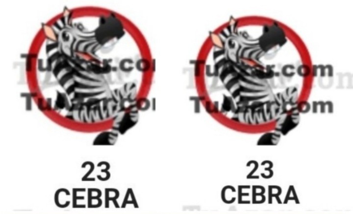 PabloJota27's tweet image. ((( #VAMOSALIGAR ))) Sin Mucho Bla Bla Bla Este Animalito Sin Decir Mucho 👉 (23)CEBRA Pa' Arrancar Mes GANANDO, COBRANDO Y SUMANDO Con La Verdadera Información Del Dueño Del Zoológico #SUSCRIPCIONVIP 📲+584226485373 Vía WhatsApp-Telegram
