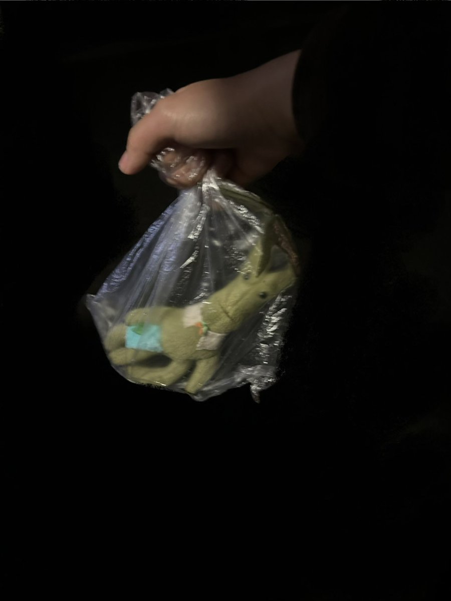 いか豆　デザフェス西4F L-249両日出展 tweet media