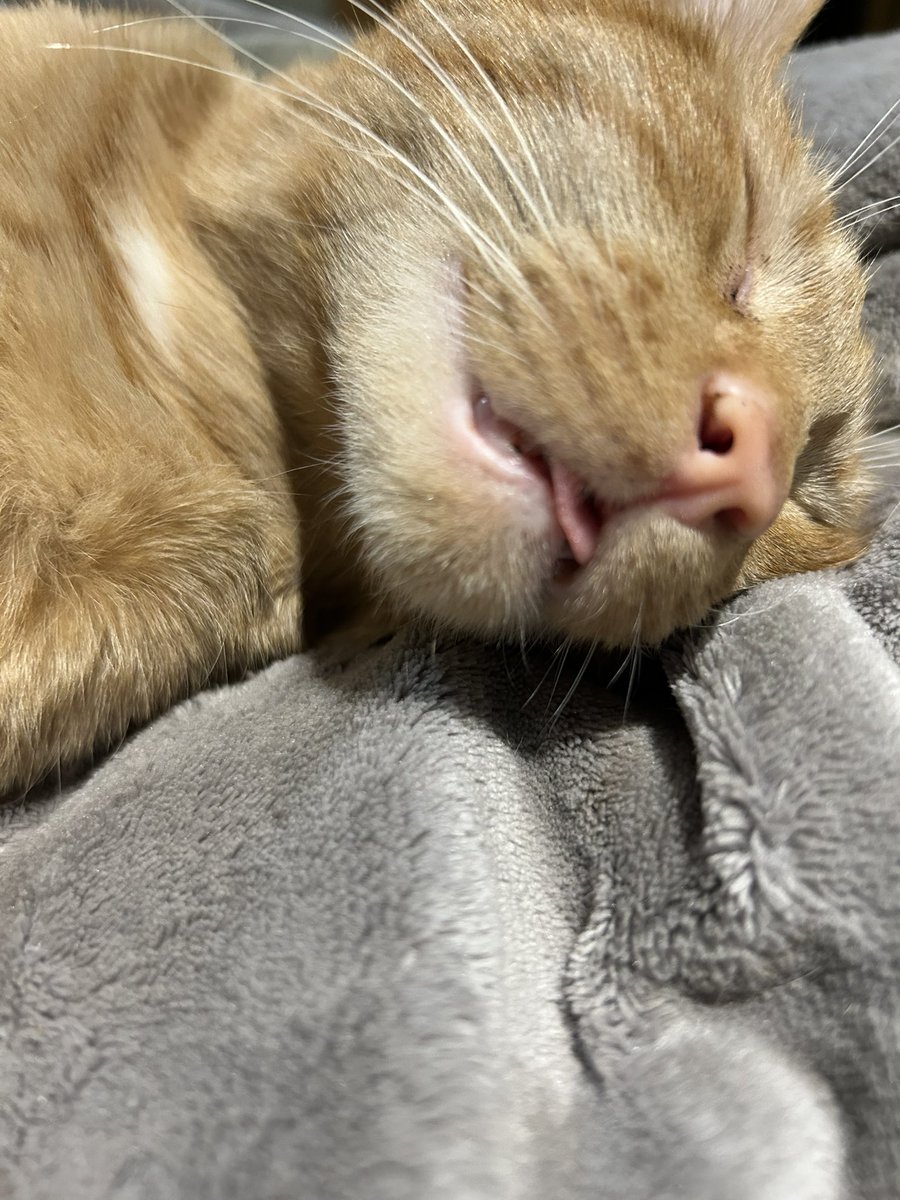 тетяна і двіж tweet media