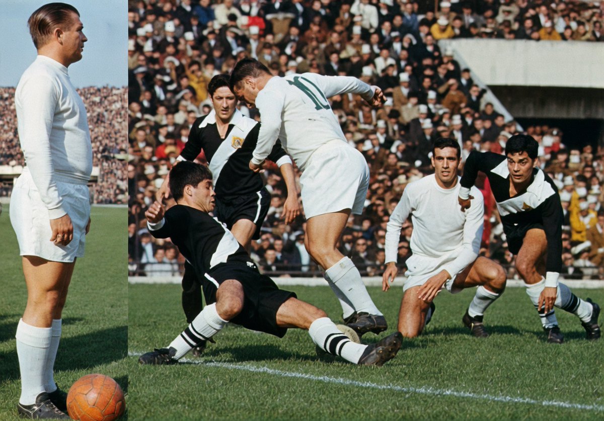 luis eduardo solar tweet media