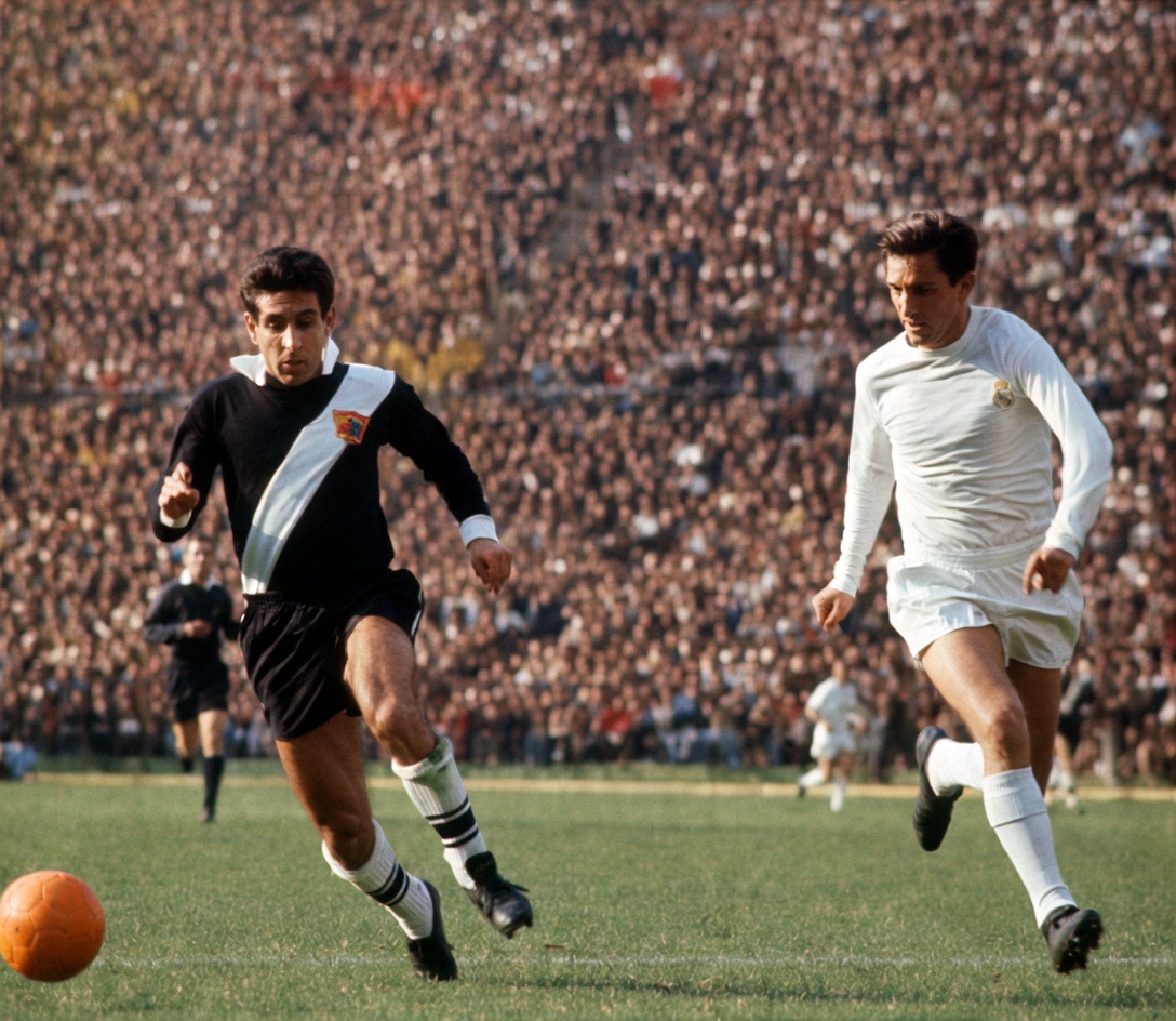 luis eduardo solar tweet media