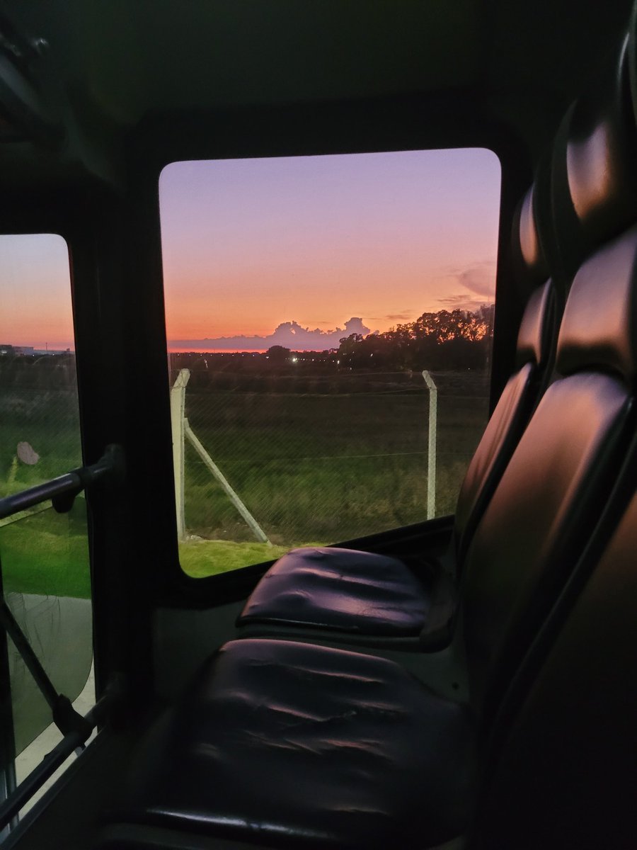 chio ⋆·˚ ༘ tweet media