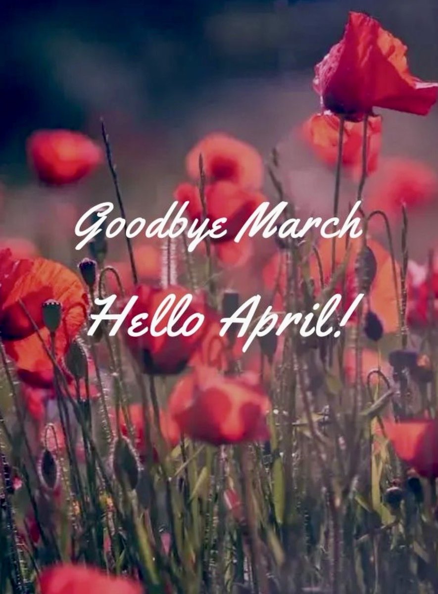 Louise 🇮🇹✨🇺🇦🌻 tweet media