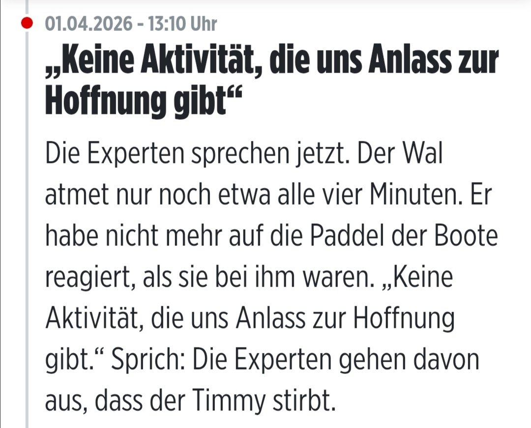 °ℛ𝓊𝒷𝓎ℛℴ𝓈ℯ° tweet media