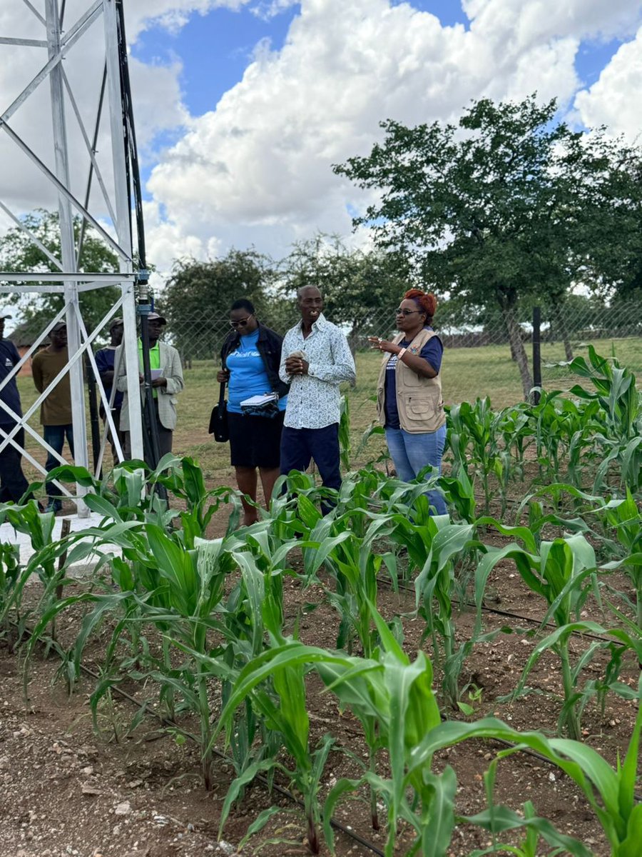 UNICEF ZIMBABWE tweet media