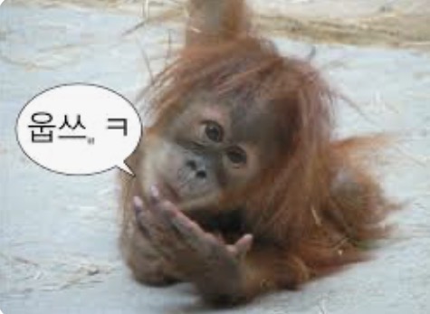 인간은영어로휴먼 tweet media