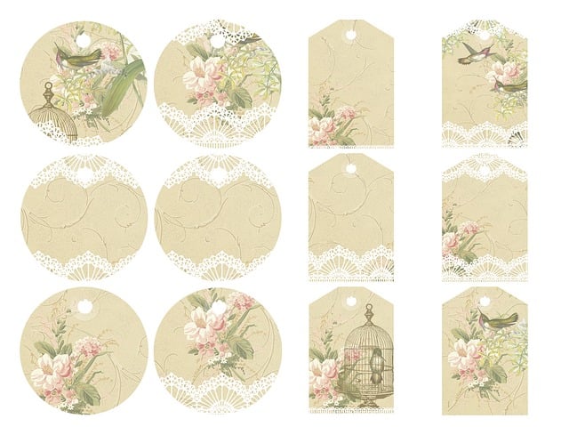 Steve Ray tweet media