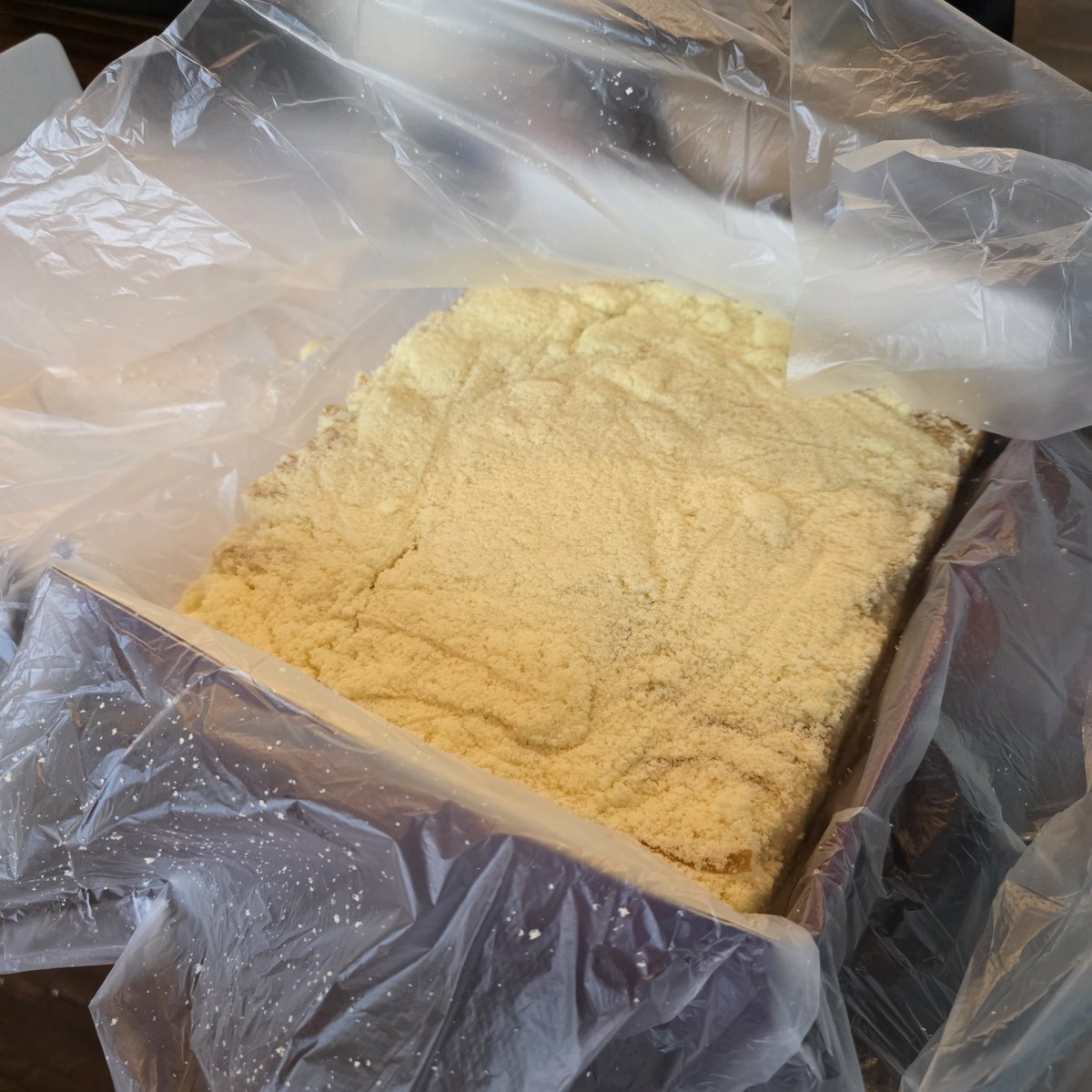 Siha시하.숨🇰🇷🐺🐱🥑🌻 tweet media