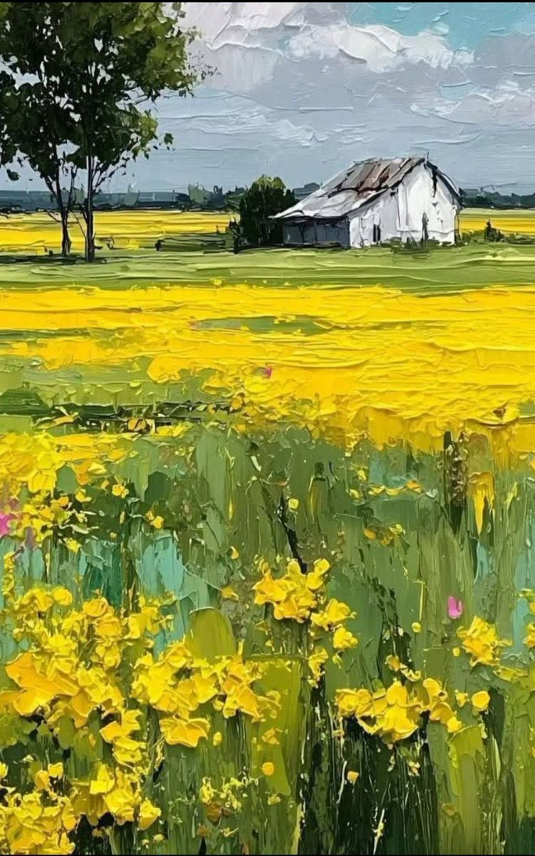 Francisco Ribeiro tweet media