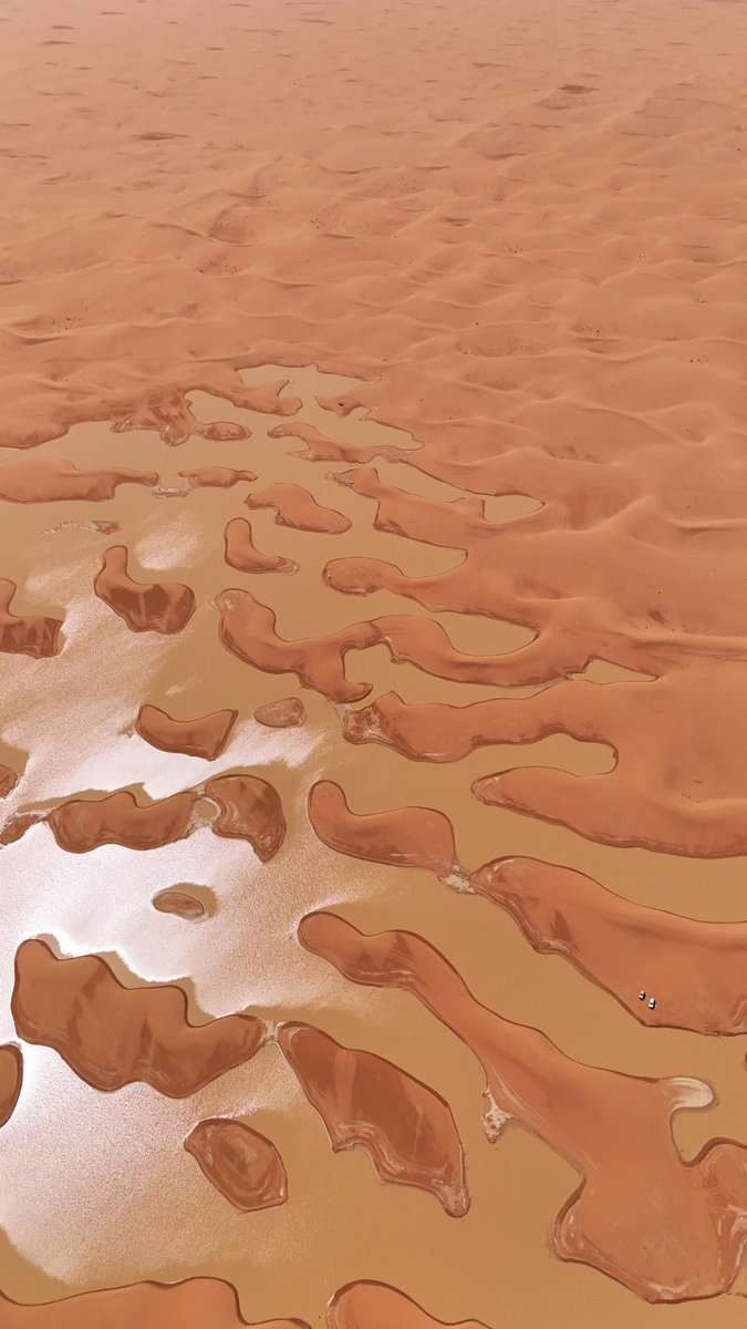 ‏ فالكون tweet media