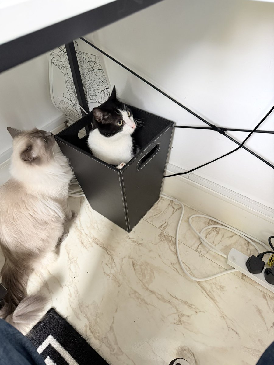 WinnieTheShit /// tweet media