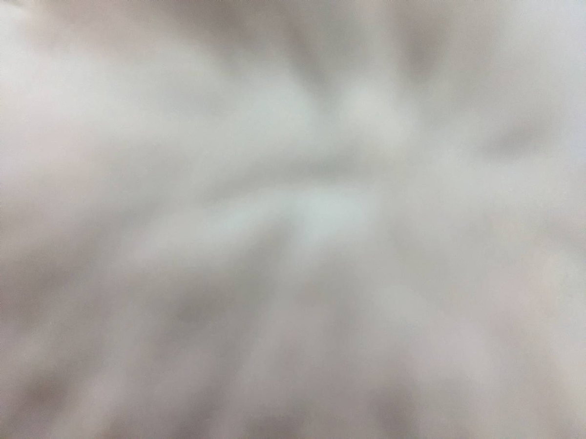 わらび餅モチ tweet media