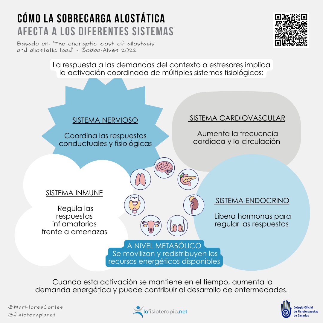 COFISCanarias's tweet photo. 📷NUEVA INFOGRAFÍA.
Cómo la sobrecarga alostática afecta a los diferentes sistemas
#cofc #cofccanarias #cofccomisiones #fisioterapia #fisioterapiacanarias #fisiosjuntosllegaremosmaslejo https://t.co/rhBJOXPyoh