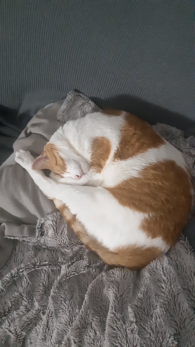 Quien? YO?? tweet media