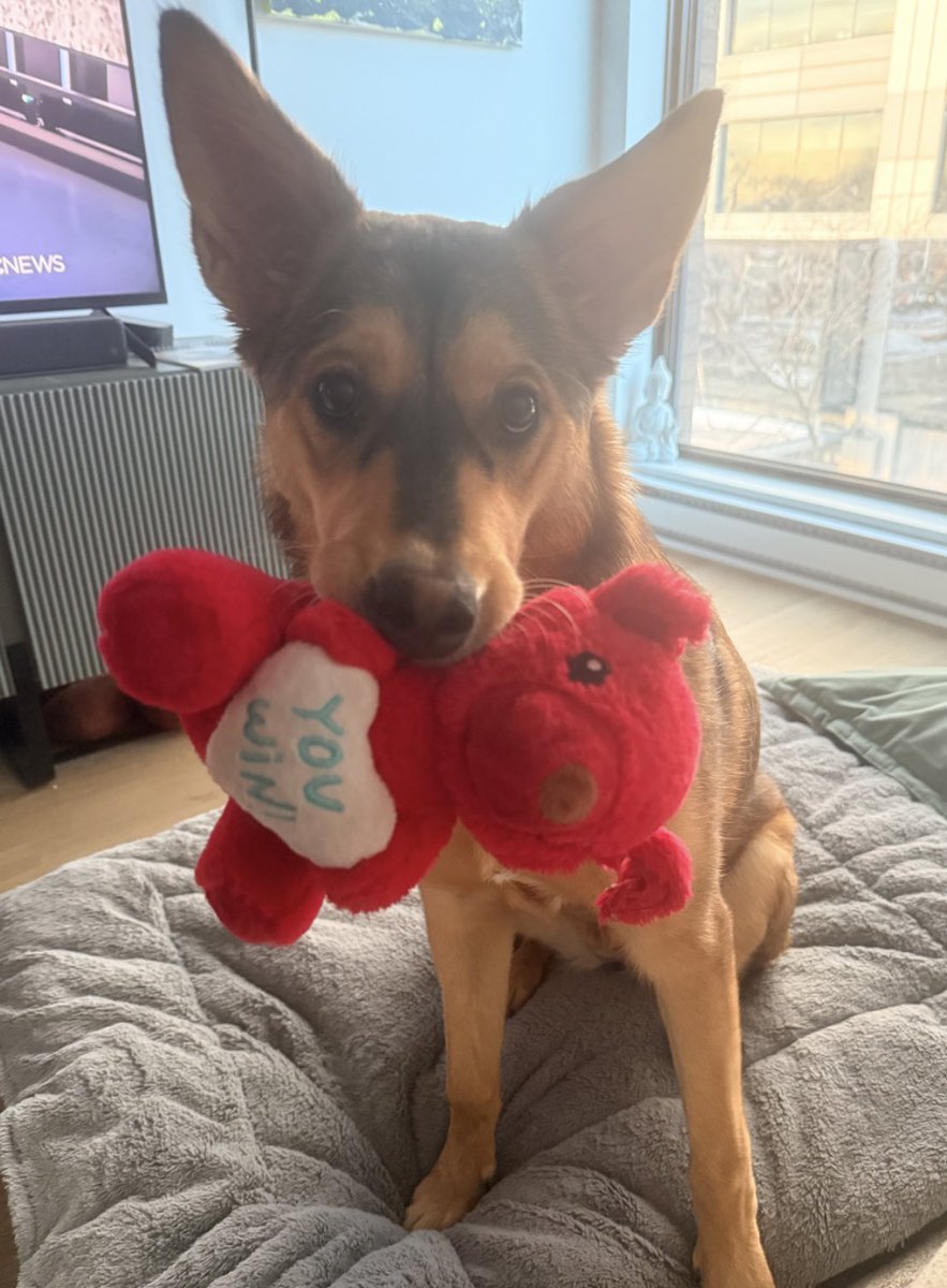 Flavio E. tweet media