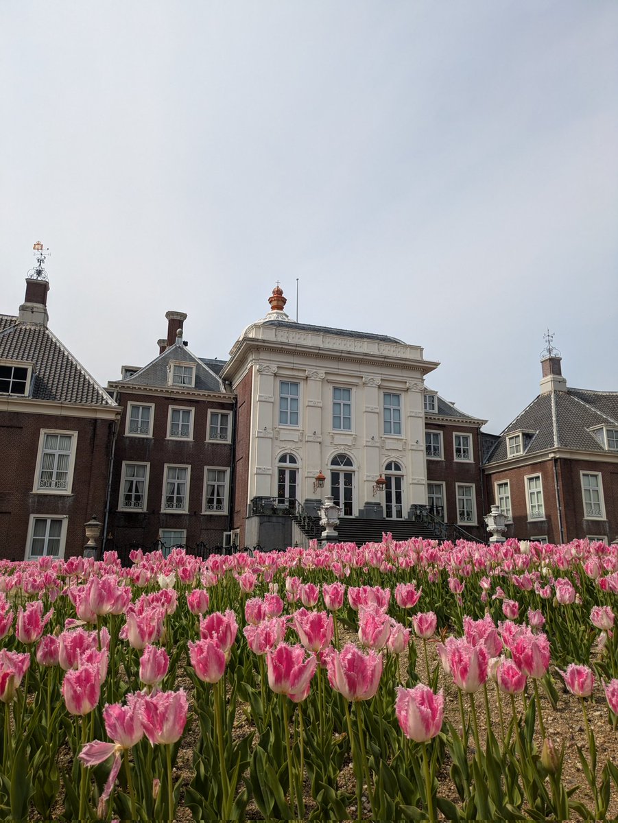 大群英明 tweet media