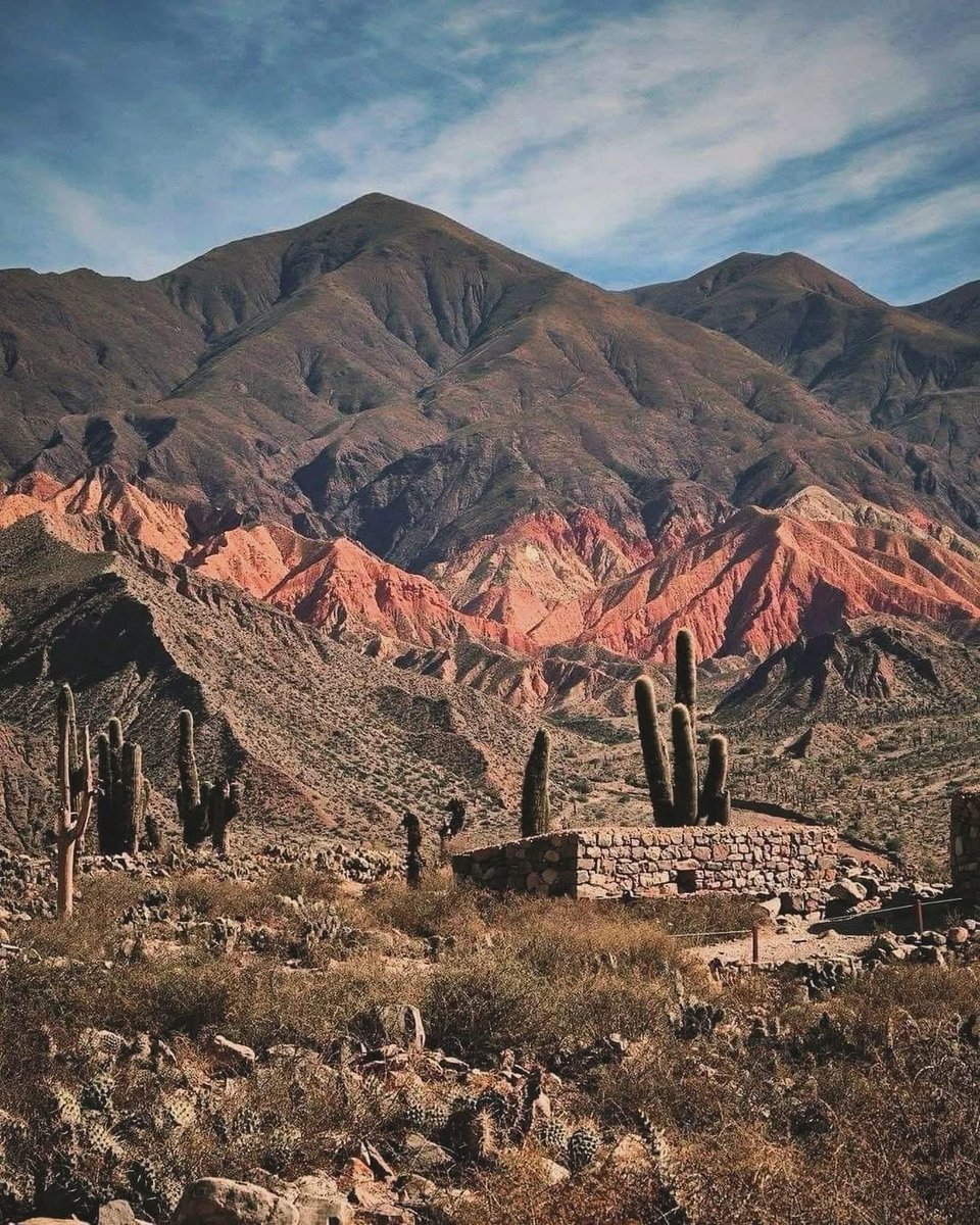 RESPIRAARGENTINA tweet media